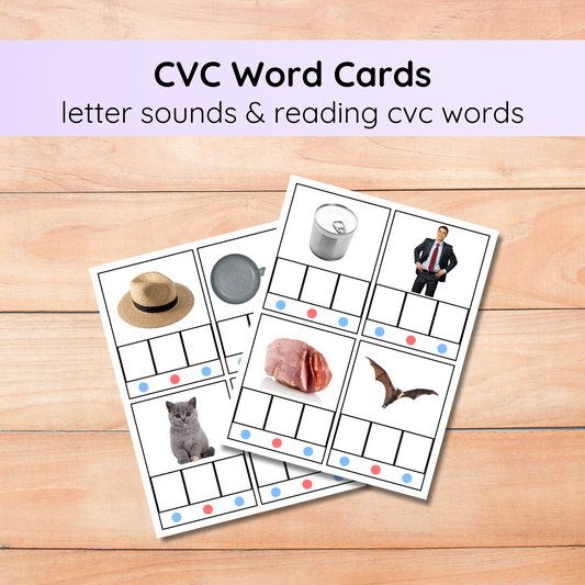 CVC Word Cards