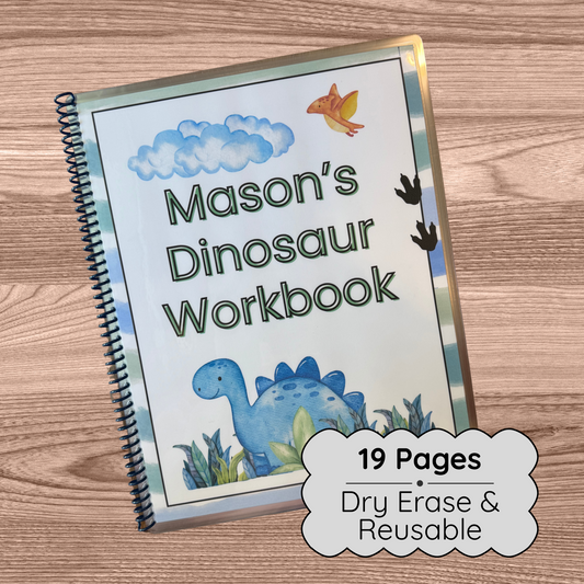 Dinosaur Reusable Activity Book